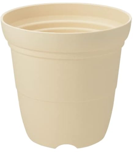 Amazon.co.jp: 斑入りソテツ 4号素焼鉢 : DIY・工具・ガーデン
